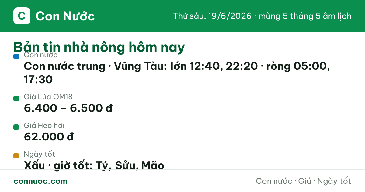 🌊 Bản tin hôm nay (tổng hợp)