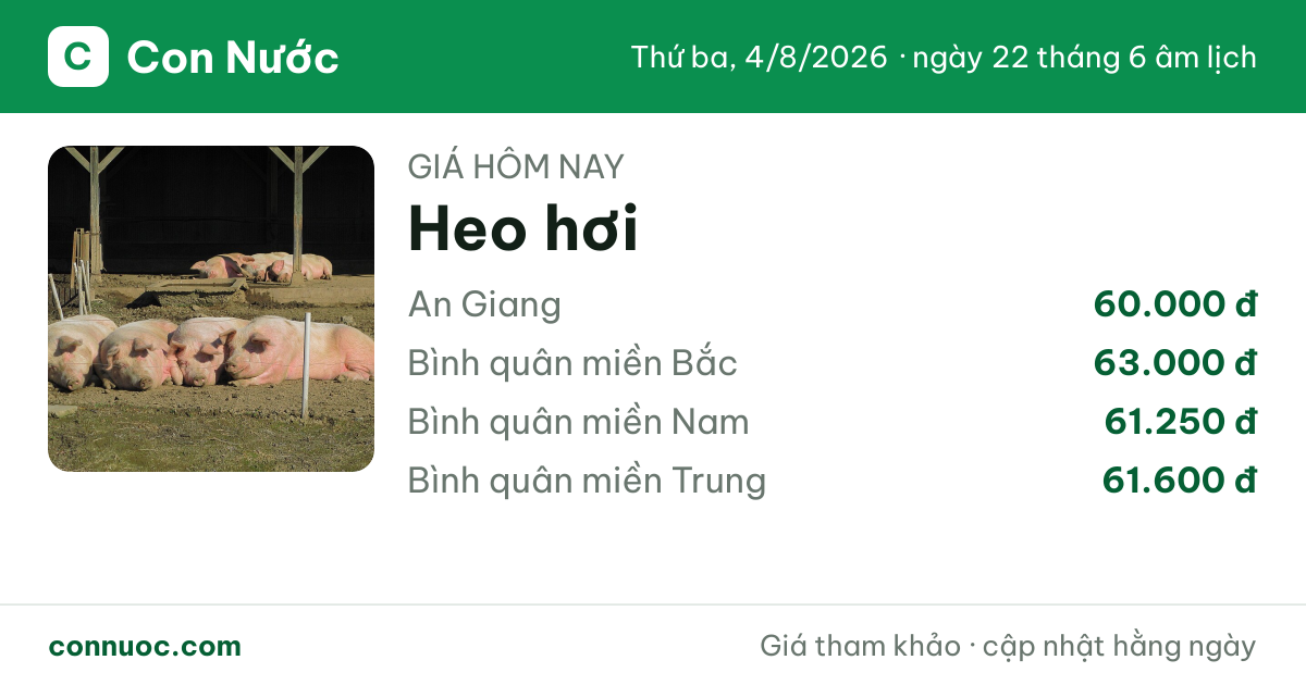 🌾 Giá Heo hơi