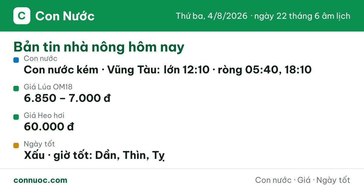 🌊 Bản tin hôm nay (tổng hợp)