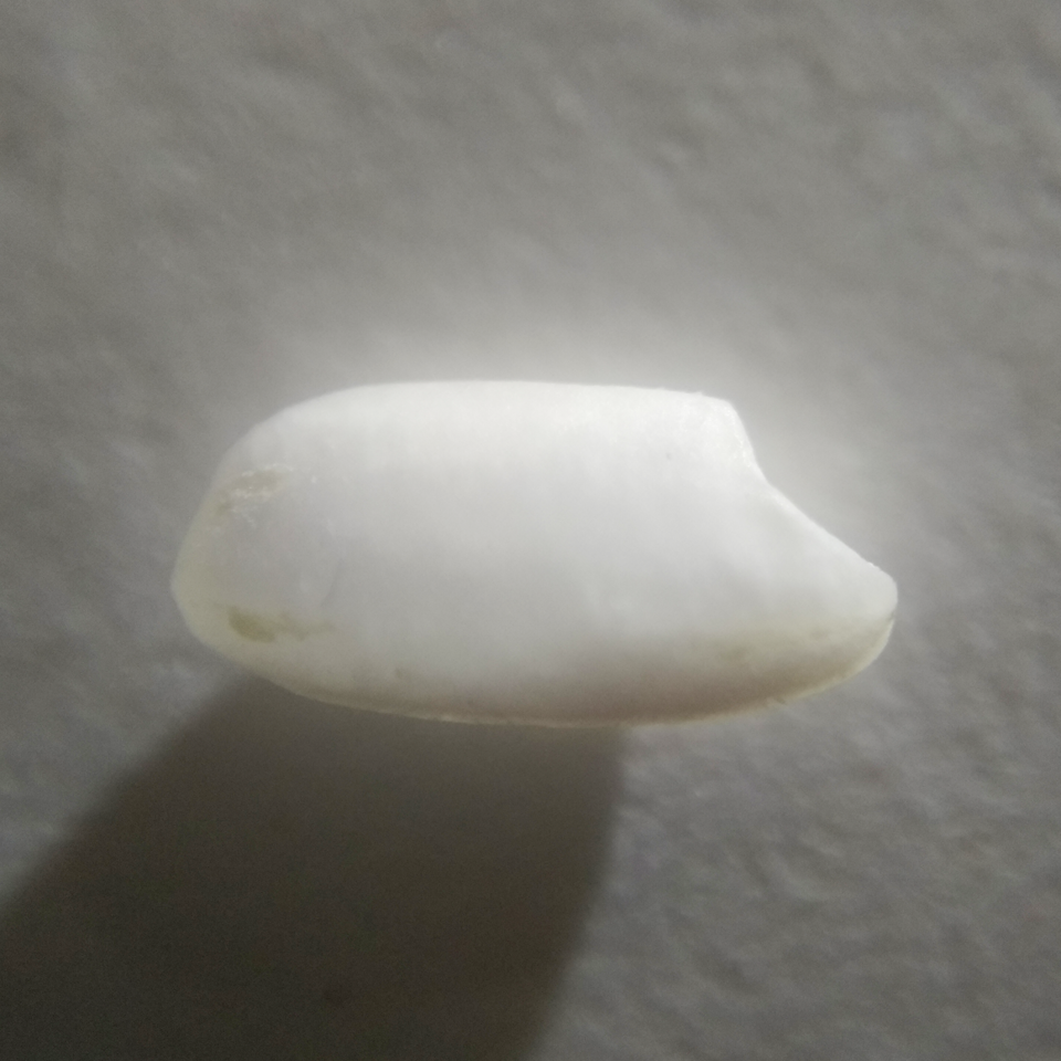 Hình ảnh Lúa OM5451